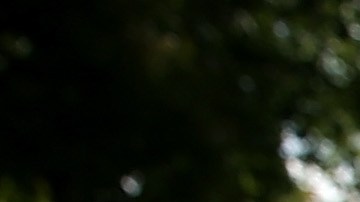 Napa Area Businesses Continue Recovery Effort From Earthquake