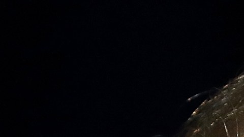 Entre más divida al país Trump tiene mayor chance de ser reelecto