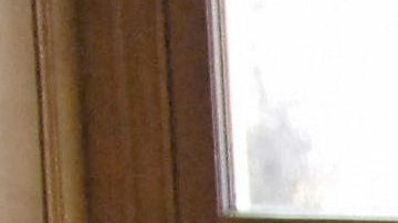 Director of French research laboratory,