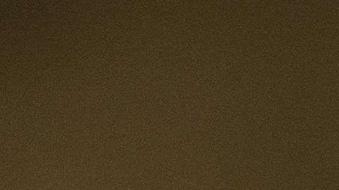 Zonas rurales de Colorado han sido beneficiadas con la llegada de inmigrantes.