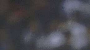 Shohei Ohtani  Masterpress/Getty Images