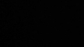 Ni el propio IRS puede confirmar que los impuestos de Trump están bajo auditoría