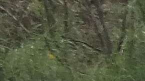 Hay gran oposición sobre tener más control en la frontera. / Foto: Archivo