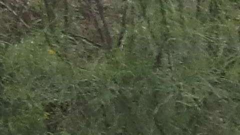 Hay gran oposición sobre tener más control en la frontera. / Foto: Archivo