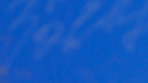 Liu Yifei es la elegida de Disney.