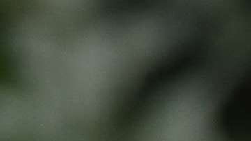 Donald Trump Jr. fue criticado en redes sociales.