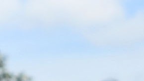 Los haitianos protestan ante la cancelación de su Estatus de Protección Temporal.  Getty Images