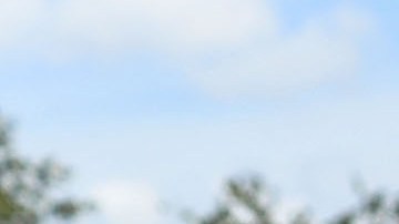 Los haitianos protestan ante la cancelación de su Estatus de Protección Temporal.  Getty Images