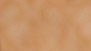 Chuck Norris exige indemnización millonaria.