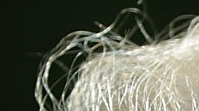 Crece la polémica por los  videos anti-musulmanes que re publicó Trump en Twitter