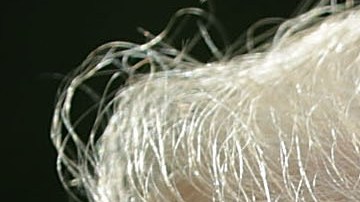 Crece la polémica por los  videos anti-musulmanes que re publicó Trump en Twitter