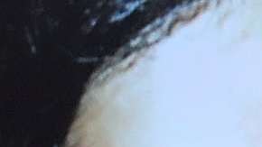 El gobierno de EEUU lanzó una cruzada contra la MS-13.