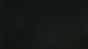 Piden protección contra el arresto de ICE para los inmigrantes que deben ir a tribunales a resolver problemas varios no relacionados a inmigración (Foto: archivo)