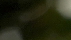 Radican en el Congreso proyecto para prohibir la venta de rifles de asalto