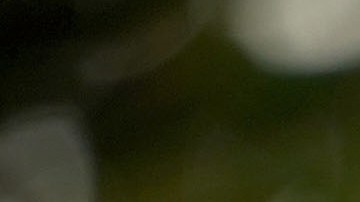 Radican en el Congreso proyecto para prohibir la venta de rifles de asalto