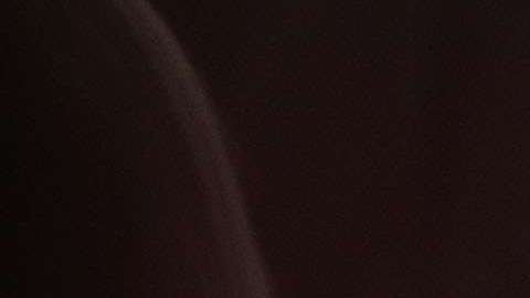 Ivanka Trump canceló sus visitas a Corea del Sur y China.