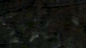 La foto de la mujer se volvió viral.