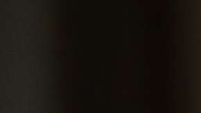 Lo que hizo y lo que no.