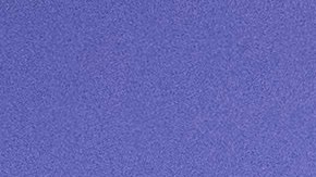 Moore habría acosado sexualmente a 8 menores de edad