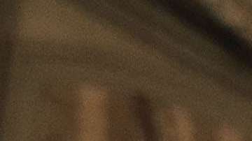 Los pavos participarán en la ceremonia de este martes.