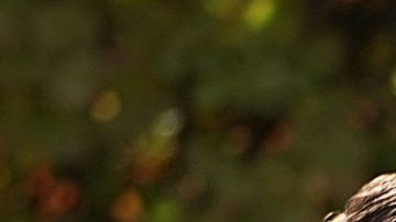 Trump agradeció a las Fuerzas Armadas por su incansable labor.