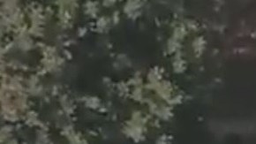 El hallazgo del cuerpo fue reportado a las autoridades.