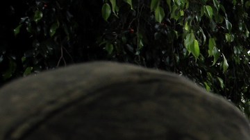 Ola de homicidios en México /Agencia Reforma