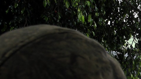 Ola de homicidios en México /Agencia Reforma