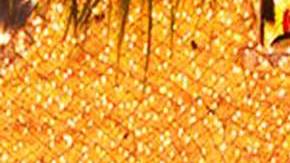 Este enorme despliegue de luces se encenderá cada noche hasta el 7 de enero.