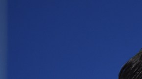 Cruz Azul hace un llamado a todos los celestes a dejarse la barba, durante la liguilla