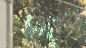 Rosa Seseña, limpiadora en la CDMX, camino a su trabajo.Rosa Seseña, limpiadora en la CDMX cuanta las dificulatades de vivir con el salario mínimo.