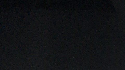 El festival de invierno de los Earthquakes de San José traerá nieve y diversión al Área de la Bahía.