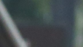 Selena Gómez y Justin Bieber. Foto: Grosby Group.