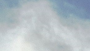 Un promedio de 30,000 elefantes son saqueados cada año en África.
