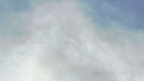 Un promedio de 30,000 elefantes son saqueados cada año en África.