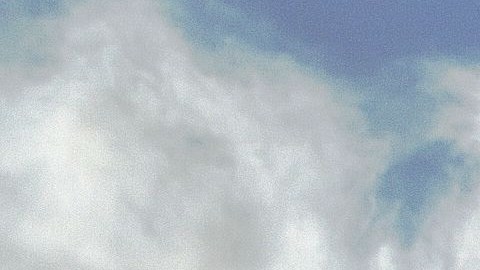 Un promedio de 30,000 elefantes son saqueados cada año en África.