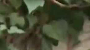 Le preguntaron a Julián Gil sobre la separación de Geraldine Bazán y Gabriel Soto