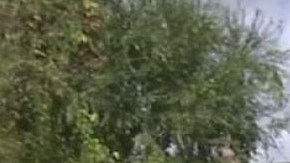 "K Rails", divisoras a base de cemento, instaladas en  la ciudad de Glendora.