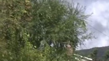 "K Rails", divisoras a base de cemento, instaladas en  la ciudad de Glendora.