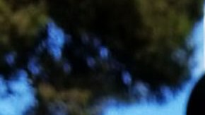 En el parque se vive un gran ambiente navideño para el deleite de todos los visitantes.