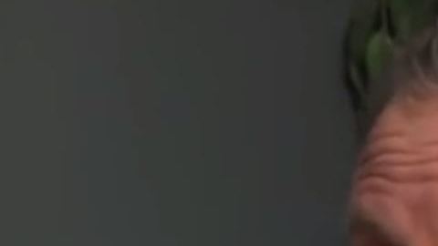 Todd Macaluso quería importar estupefacientes al país.