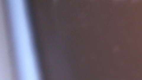 Beneficiarios de DACA batallan para obtener préstamos para comprar autos./Shutterstock