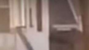 La extraña coreografía de las aves alrededor de un cadáver se propagó como pólvora por las redes. (Fotocaptura de video)