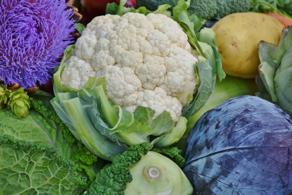 La clorofila de algunos vegetales tiene muchos beneficios para el organismo.