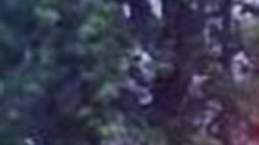 Autoridades investigan para arrestar a la persona que jaló el gatillo