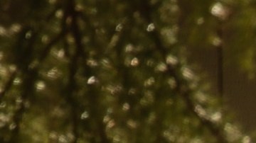 Las autoridades en la escuela primaria Rancho Tehama.