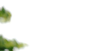 Ana Belena protagoniza la telenovela "Sangre de mi Tierra"