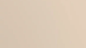 Rodney Smith fue condecorado por la Reina Isabel por su servicio a la comunidad en Alabama.