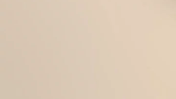 Rodney Smith fue condecorado por la Reina Isabel por su servicio a la comunidad en Alabama.