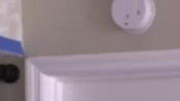 Ryan Boylan de Clearwater Beach, Florida y su mascota de soporte emocional, una ardilla llamada Brutis.